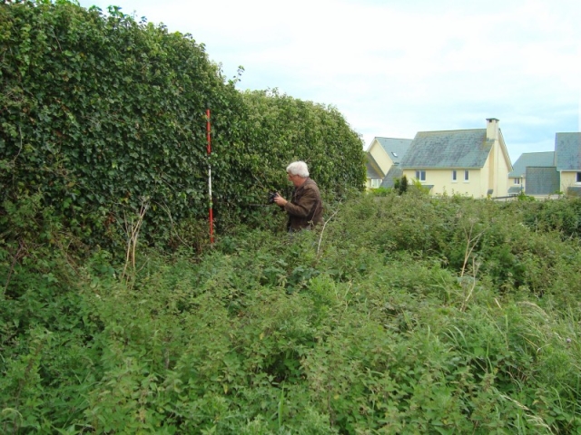Peter at the remains of the SE garden wall of Machynys House Peter at the remains of the SE garden wall of Machynys House