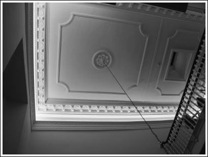 The restored ceiling centre rose above the main stairway The restored ceiling centre rose above the main stairway