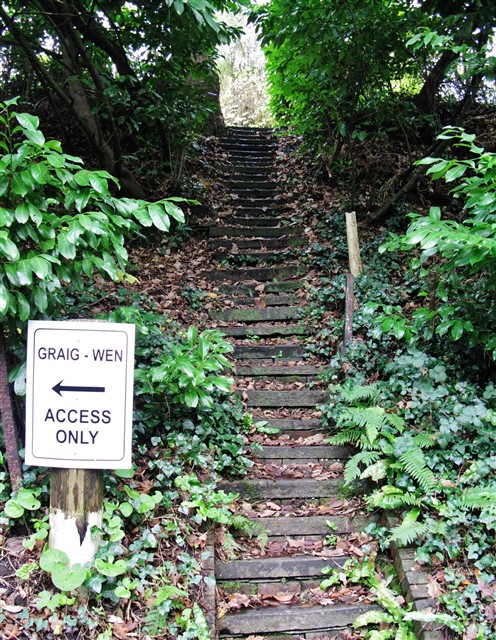 13th November 2016 ~ Old steps leading up to Glyncoed 13th November 2016 ~ Old steps leading up to Glyncoed