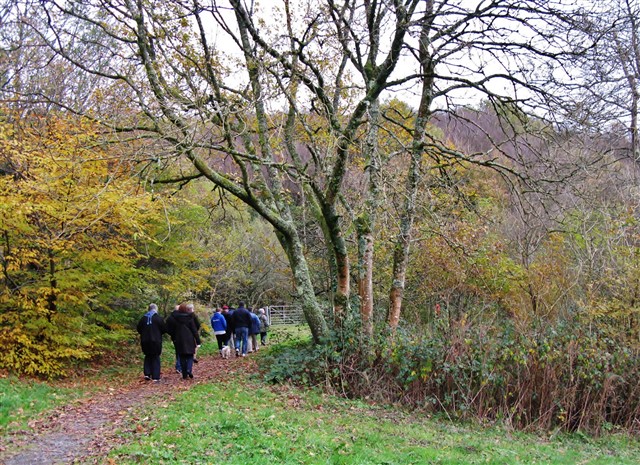 The path to Gypsy Corner The path to Gypsy Corner