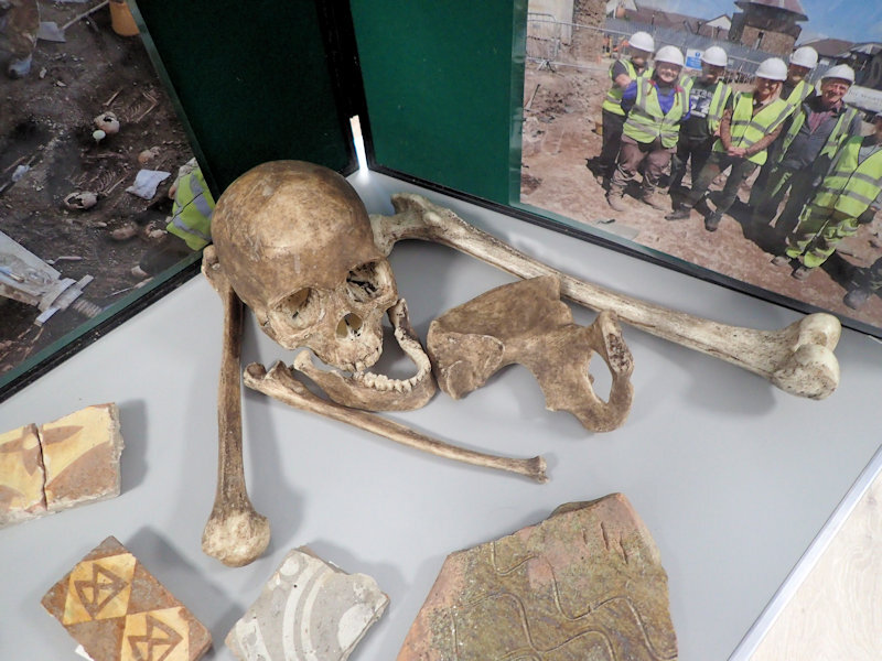 Archaeology day Archaeology day