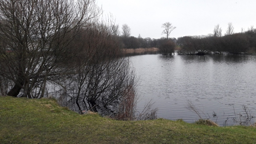 Old Castle Pond (2017, looking northeast), on the northwest corner of which is the original location of the Wiselboom bridge. Old Castle Pond (2017, looking northeast), on the northwest corner of which is the original location of the Wiselboom bridge